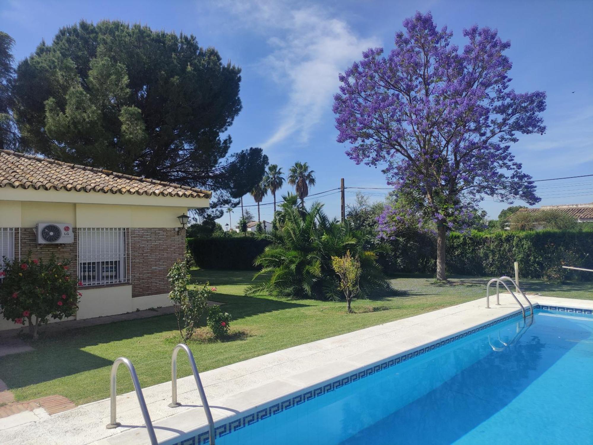 Remanso De Paz Cerca De Sevilla Dreamertu Palomares del Río Exterior photo