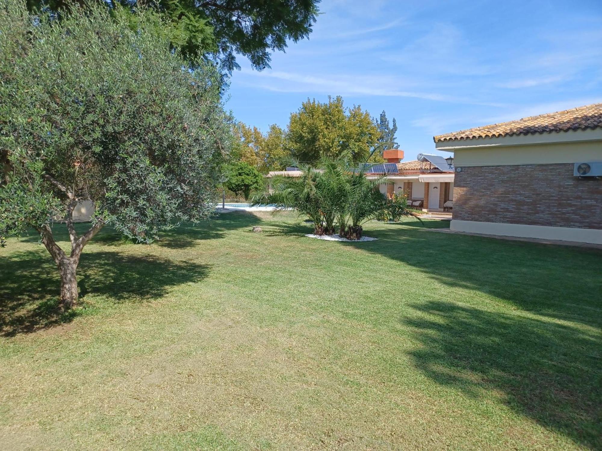 Remanso De Paz Cerca De Sevilla Dreamertu Palomares del Río Exterior photo
