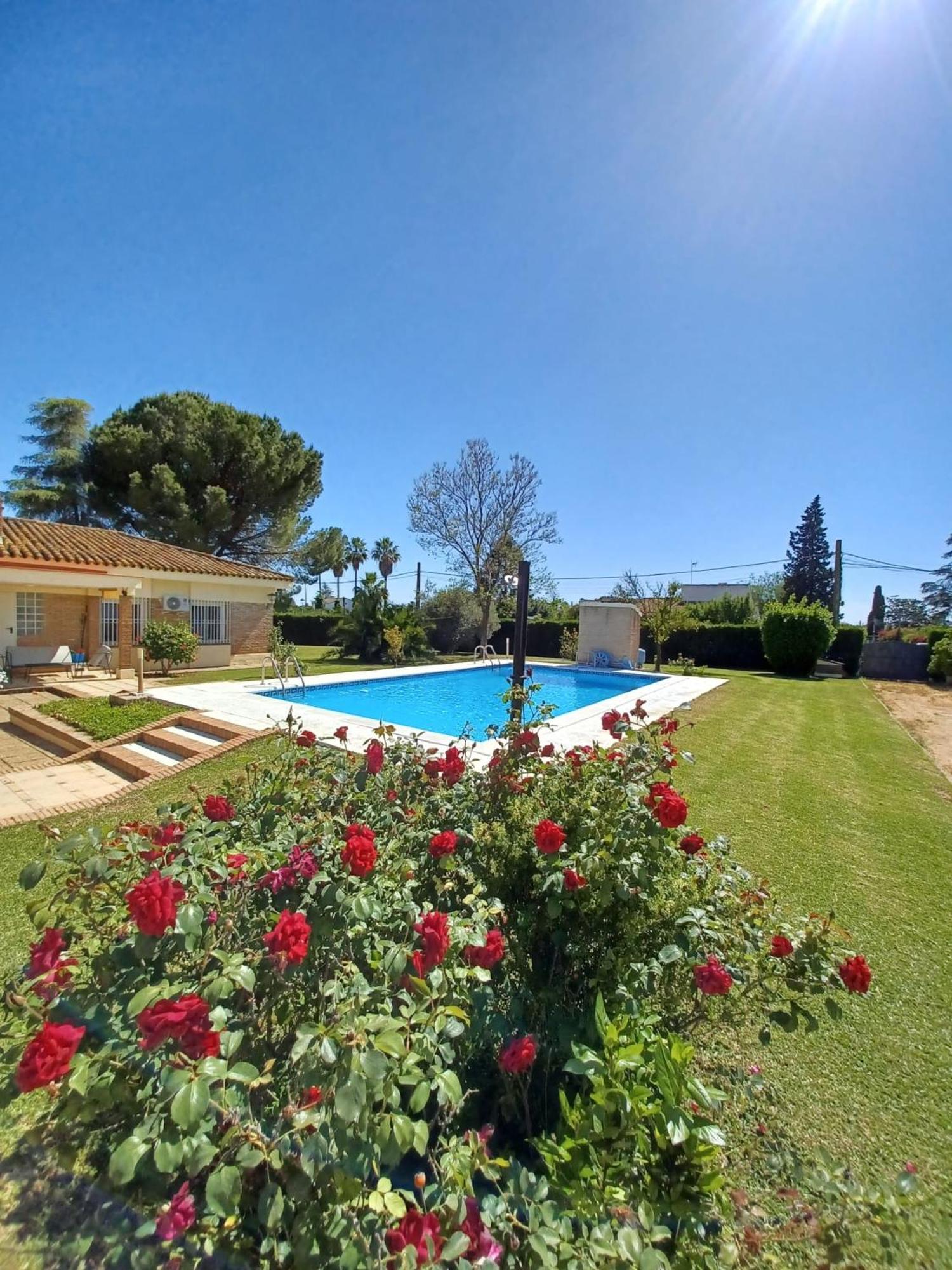 Remanso De Paz Cerca De Sevilla Dreamertu Palomares del Río Exterior photo